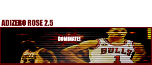 Adizero Rose 2.5 " Dominate " 