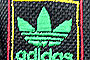 Rasta