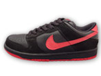 Dunk Low Pro SB 061