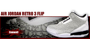 Air Jordan Retro 3 Flip 101