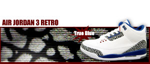 Air Jordan 3 Retro 141