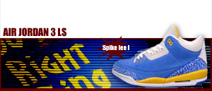 Jordan 3 LS "Do The Right Thing" 471