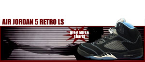 Air Jordan 5 Retro LS 041