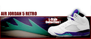 Air Jordan 5 Retro LS  131