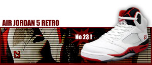 Air Jordan 5 Retro No23 162