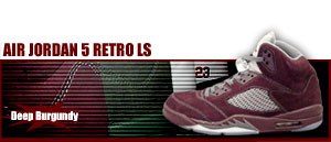 Air Jordan 5 Retro LS Deep burgandy 602