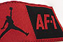 Jordan Brand Ajf 12 Hoody "All Shoe" 100
