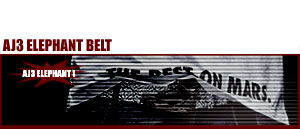 Jordan 3 Elephant Belt