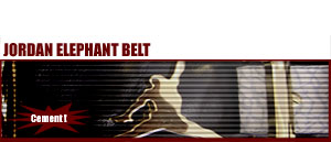 Jordan 5 Olive "Elephant Belt" 101