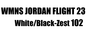 Wmns Jordan Flight 23 102