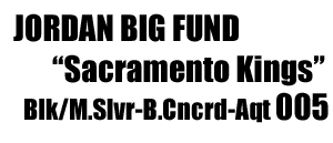 Jordan Big Fund "Sacramento Kings Color" 005