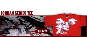 Jordan Brand "Air Jordan Series Tee" 648