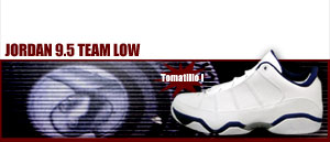 Jordan 9.5 Team Low  nine-point-five 101