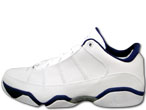 Air Jordan Team 9.5 101