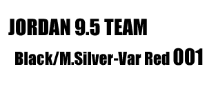 Jordan 9.5 Team nine-point-five 001