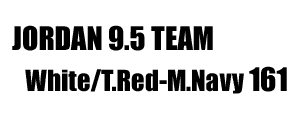 Jordan 9.5 Team nine-point-five 161