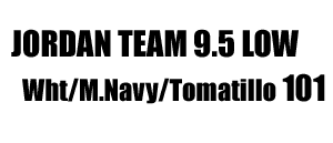 Jordan 9.5 Team Low  nine-point-five 101