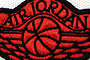 Jordan Brand "Air Jordan 1 Wing Polo" 100