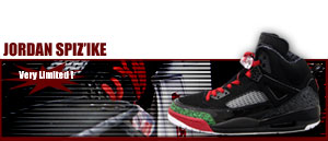 Jordan Spiz'ike Spike Lee Edition 061