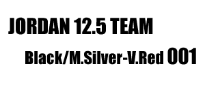 Jordan 12.5 Team 001