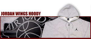 Air Jordan Wing Hoody L-Style 050