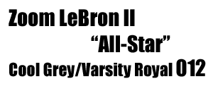 Zoom LeBron U All Star