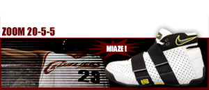 Zoom 20-5-5 " Nike.com Web Only " 161