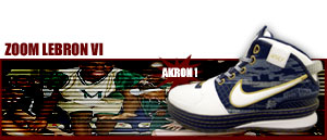 Zoom LeBron VI " Akron Edition " 411