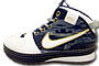 Zoom LeBron VI " Akron Edition " 411