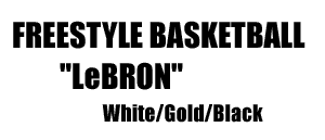 Freestyle Basketball LeBron