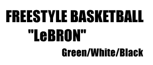 Freestyle Basketball LeBron