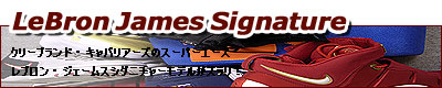 LeBRON JAMES (���u�����E�W�F�[���X) | lebron james signature