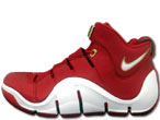 Zoom LeBron IV "China Edition 4500" 611