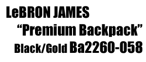 LeBron James "Premium Backpack"