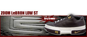 Zoom LeBRON Low St 071