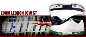 Zoom LeBRON Low St 111