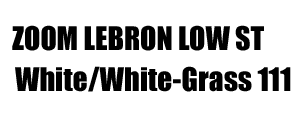 Zoom LeBRON Low St 111