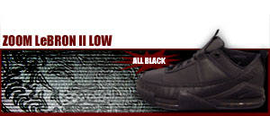 Zoom LeBron II Low 001