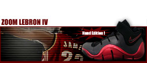 Zoom LeBRON IV "Hand Edition" 002