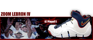 Zoom LeBRON IV "Hand Edition" 002