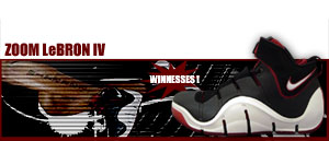 Zoom Lebron IV 001