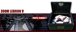 Zoom LeBRON V "Mr.Basketball Edition" 101