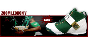 Zoom LeBRON V SVSM "Birthday Edition" 311