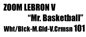 Zoom LeBRON V "Mr.Basketball Edition" 101