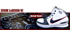 Zoom LeBron VI "United We Rise Edition" 141