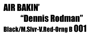 Air Bakin "Dennis Rodman Signature" 001