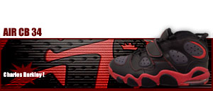 Air Cb 34 "Charles Barkley Edition" 061