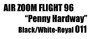 Zoom Flight 96 Retro "Penny Hardaway" 011