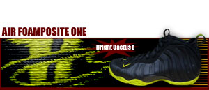 Air Foamposite One "Penny Hardaway" 003