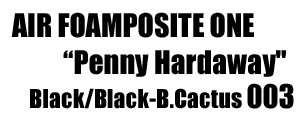 Air Foamposite One "Penny Hardaway" 003